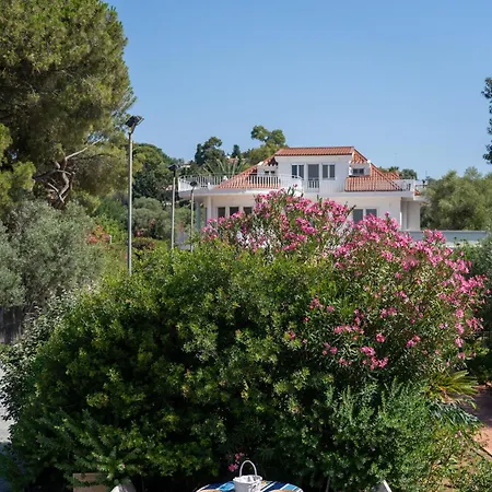 Bianca Con Accesso Diretto