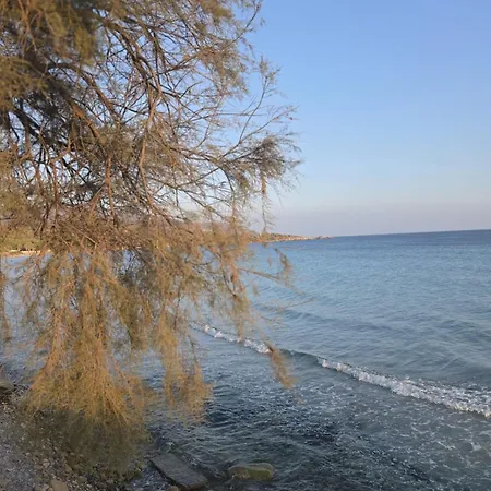 Bianca Con Accesso Diretto Villa *